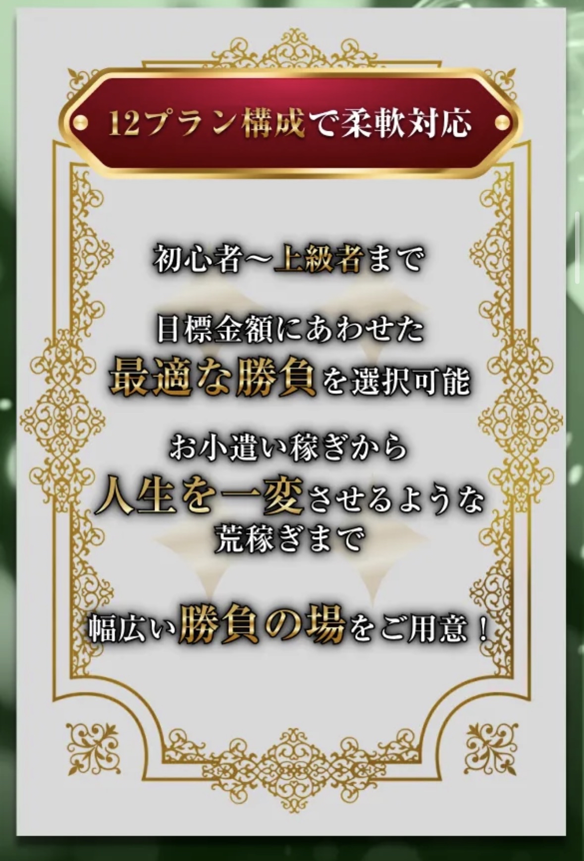 競輪リオの説明文